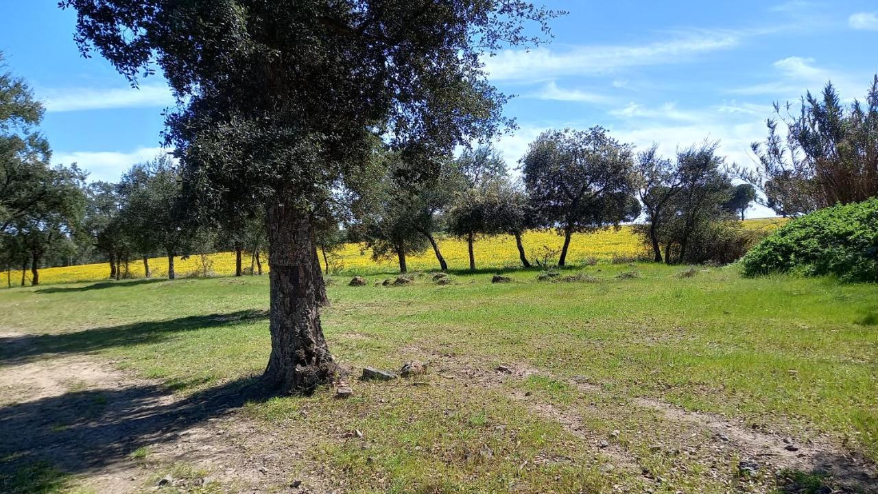 Monte Da Serralheira Agro Turismo Евора Екстериор снимка