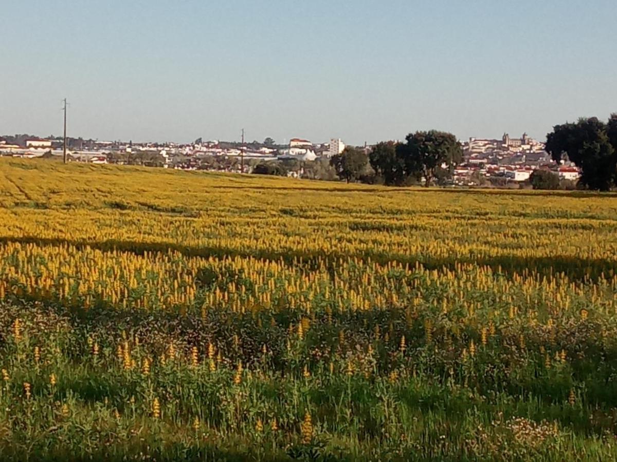 Monte Da Serralheira Agro Turismo Евора Екстериор снимка